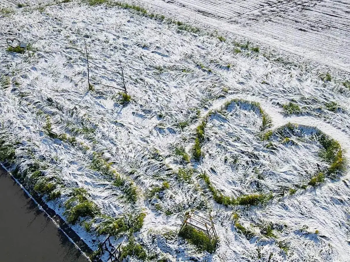 【SNS映え】満開の菜の花畑に雪「上山市 ヴェンテンガルテン」