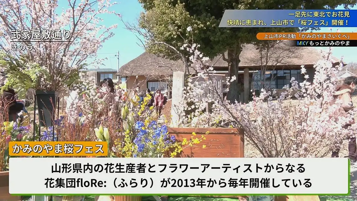 武家屋敷と生け花 = 2023年3月5日 武家屋敷通り