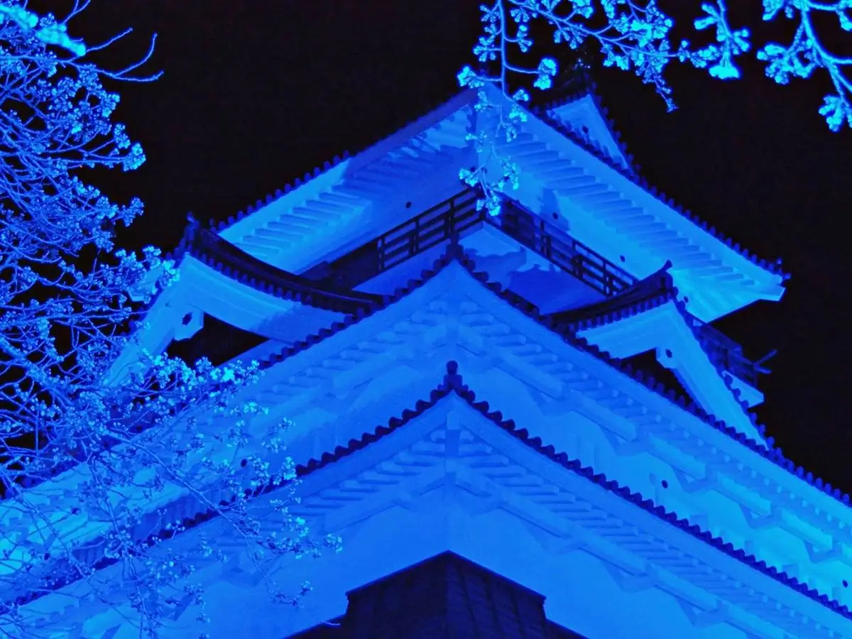 上山城がブルーにライトアップ！ 桜とお城のツーショット、世界自閉症啓発デーに合わせ