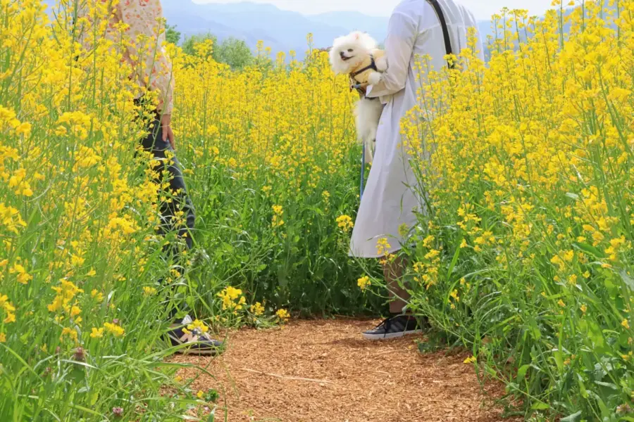 ペットを連れて訪れた人 = 2024年4月27日 ヴェンテンガルテン