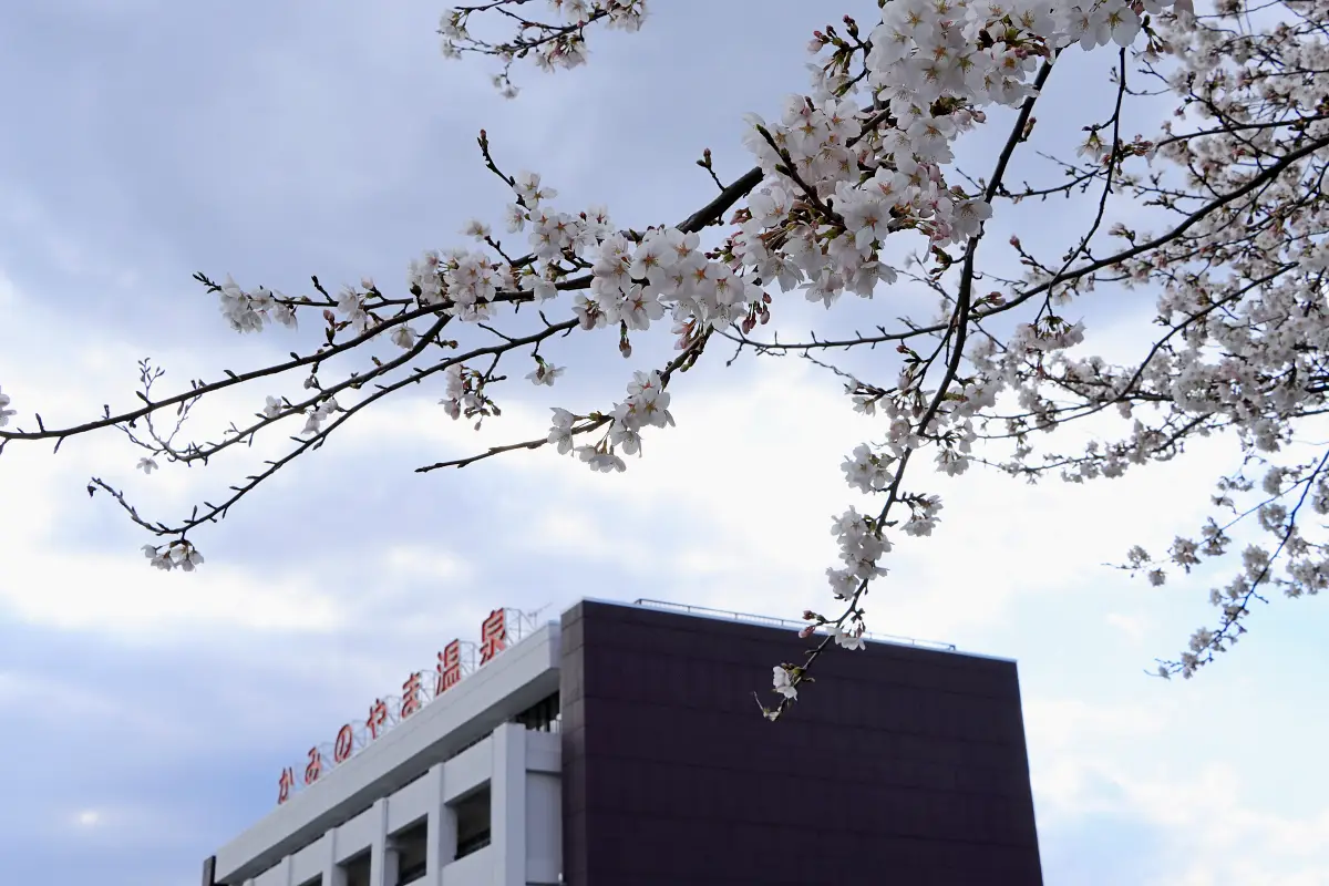 2024年4月12日 市民公園