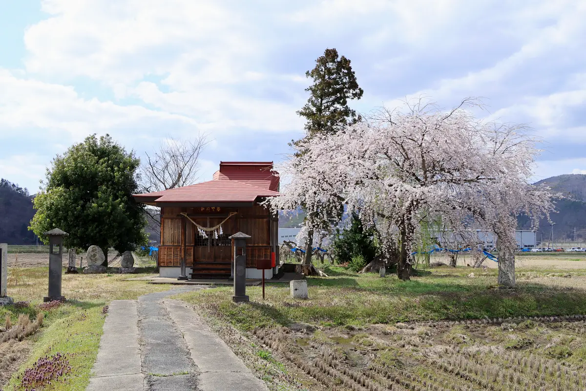 2024年4月12日 熊野神社