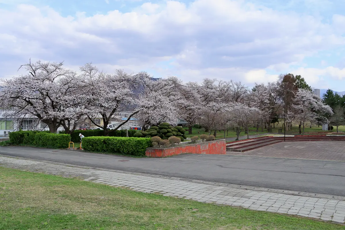 2024年4月12日 市民公園