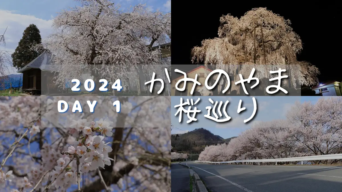かみのやま桜巡り2024 - Day 1「一足先に満開迎える桜へ」～春の楽しみ、あっという間に～