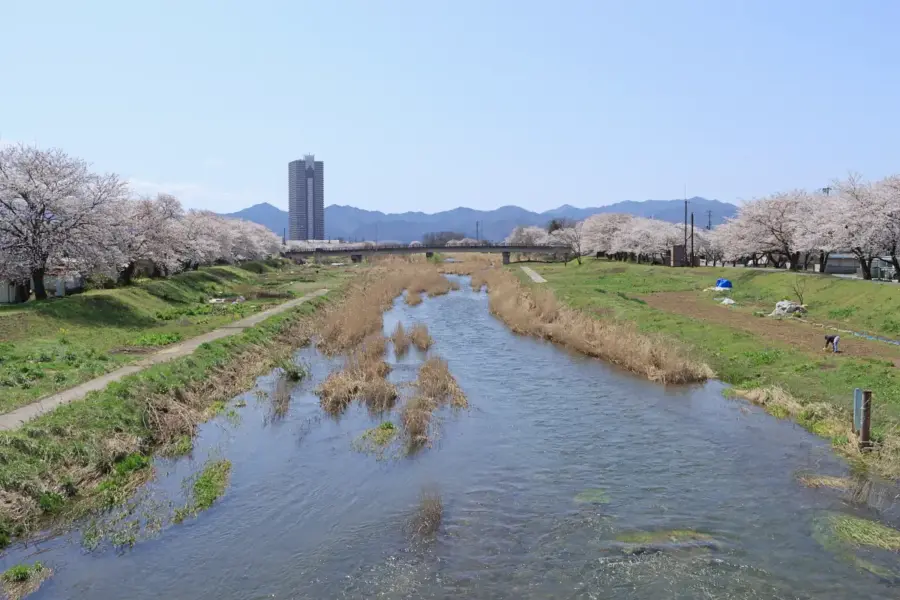 2024年4月13日 須川河岸堤プロムナード