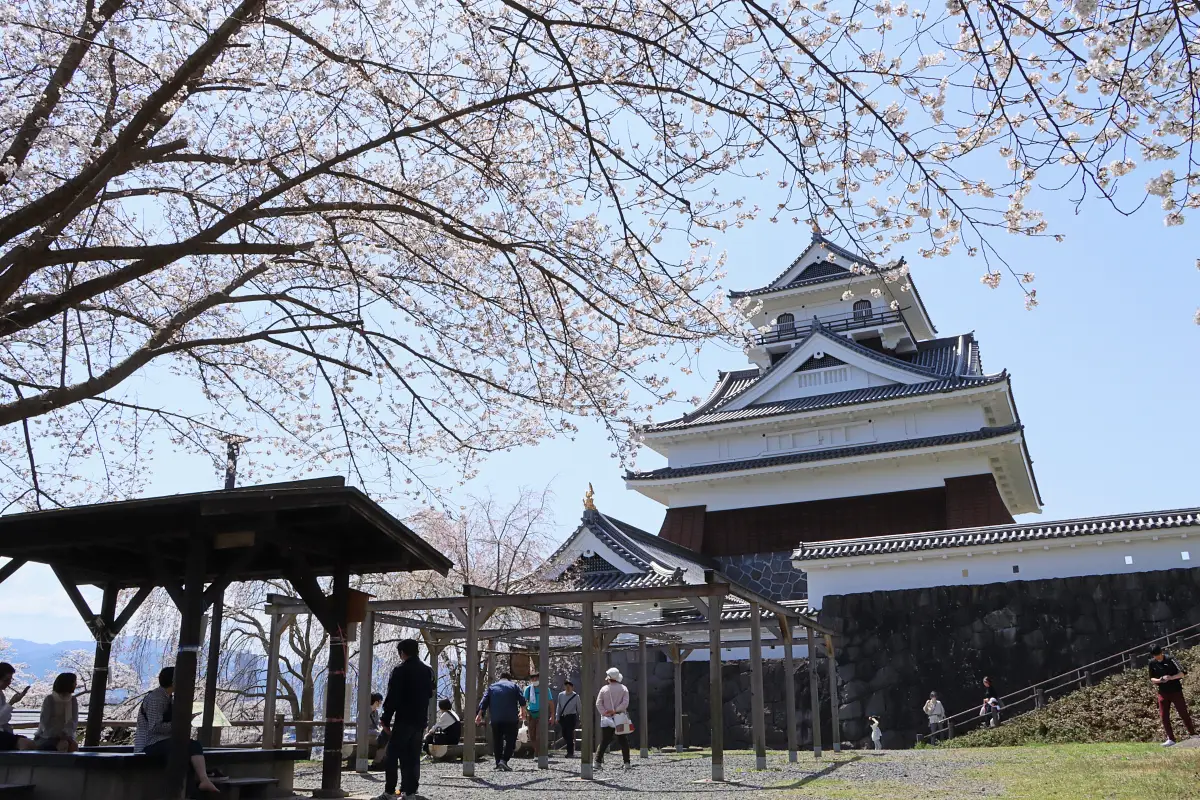 2024年4月13日 月岡公園(上山城)