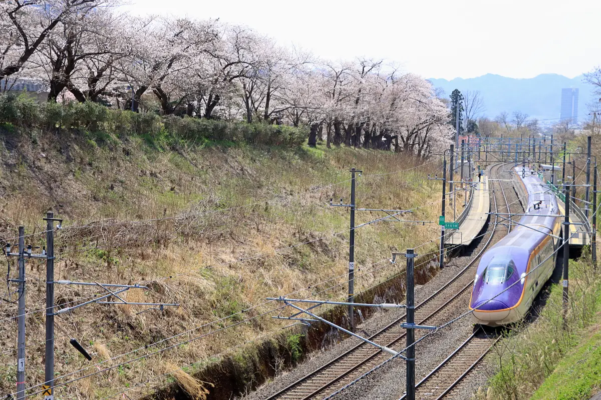 2024年4月13日 みゆき公園