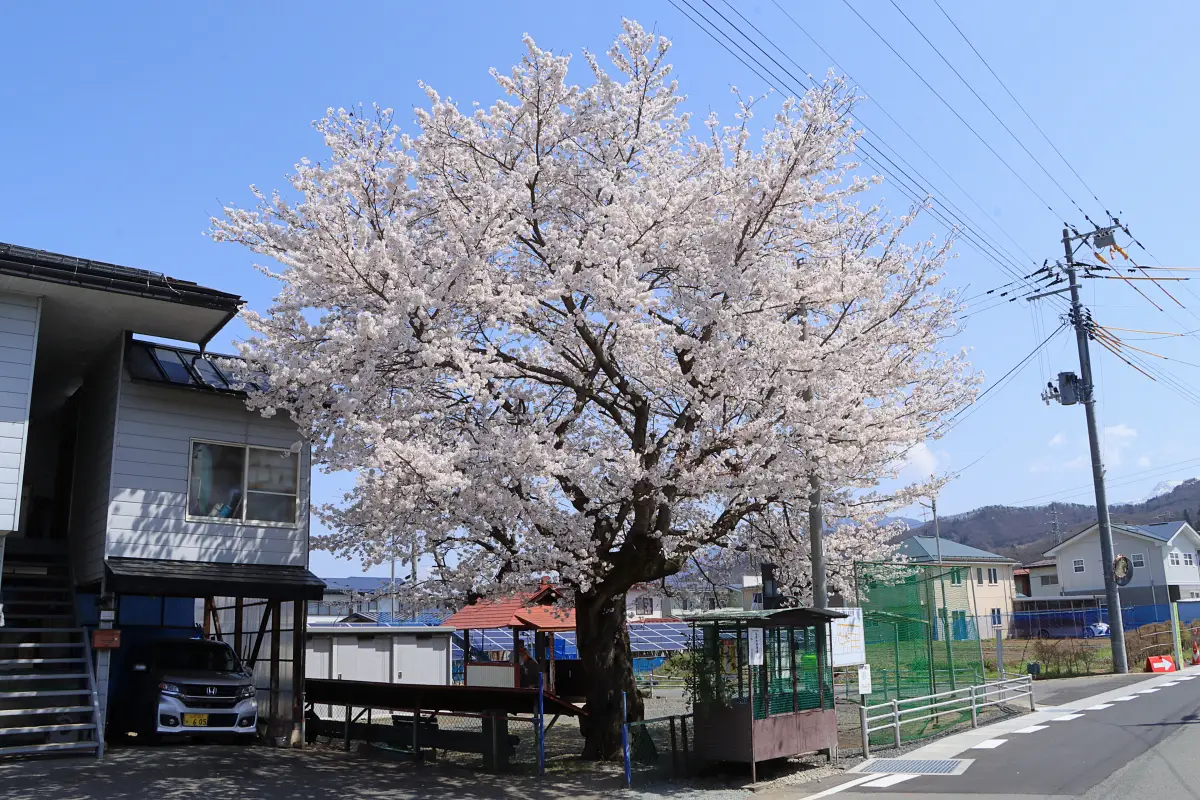 2024年4月13日 弘法大師