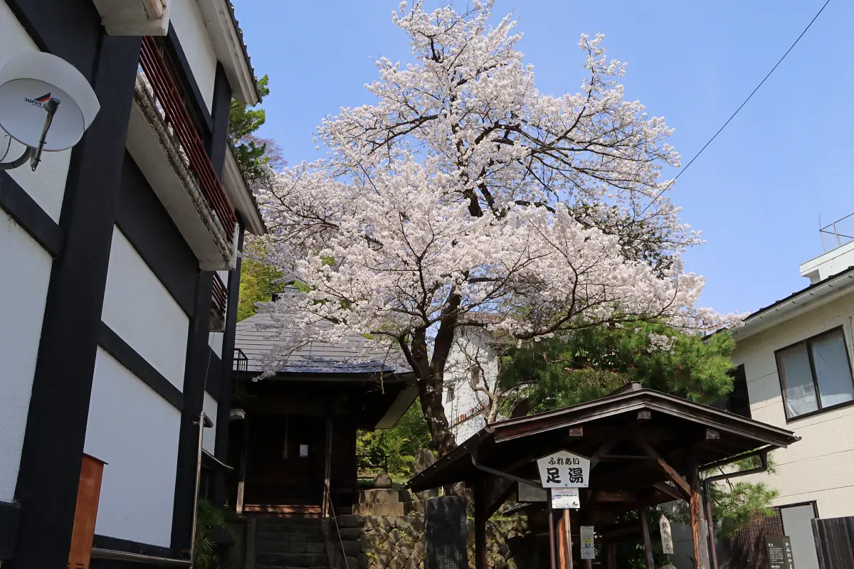 2024年4月14日 薬師堂(湯町の足湯)