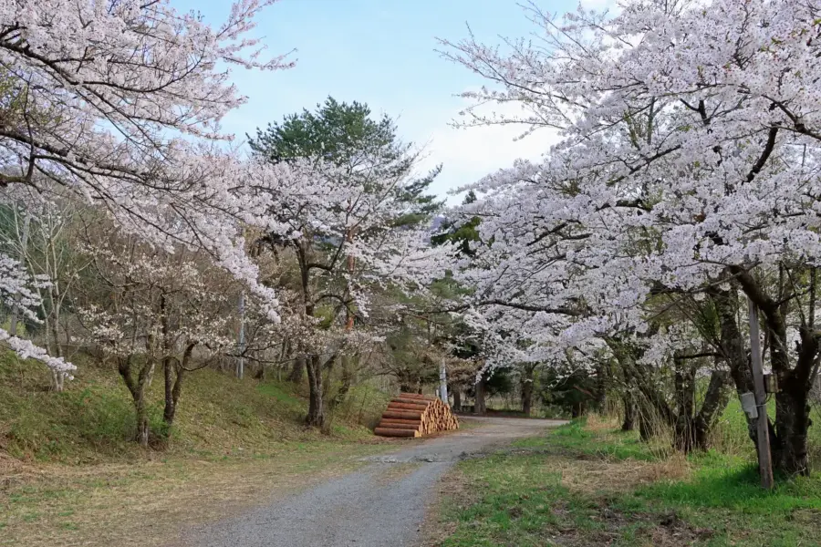 2024年4月21日 萱滝遊園