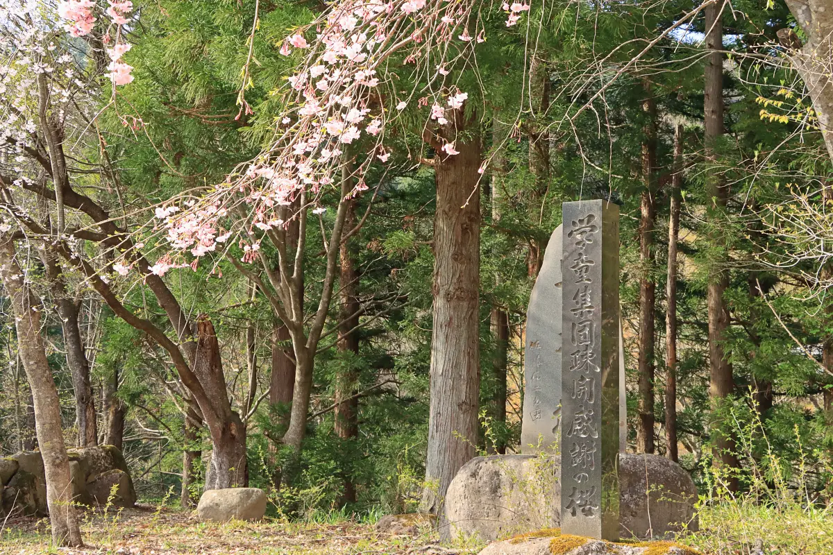 2024年4月21日 萱滝遊園