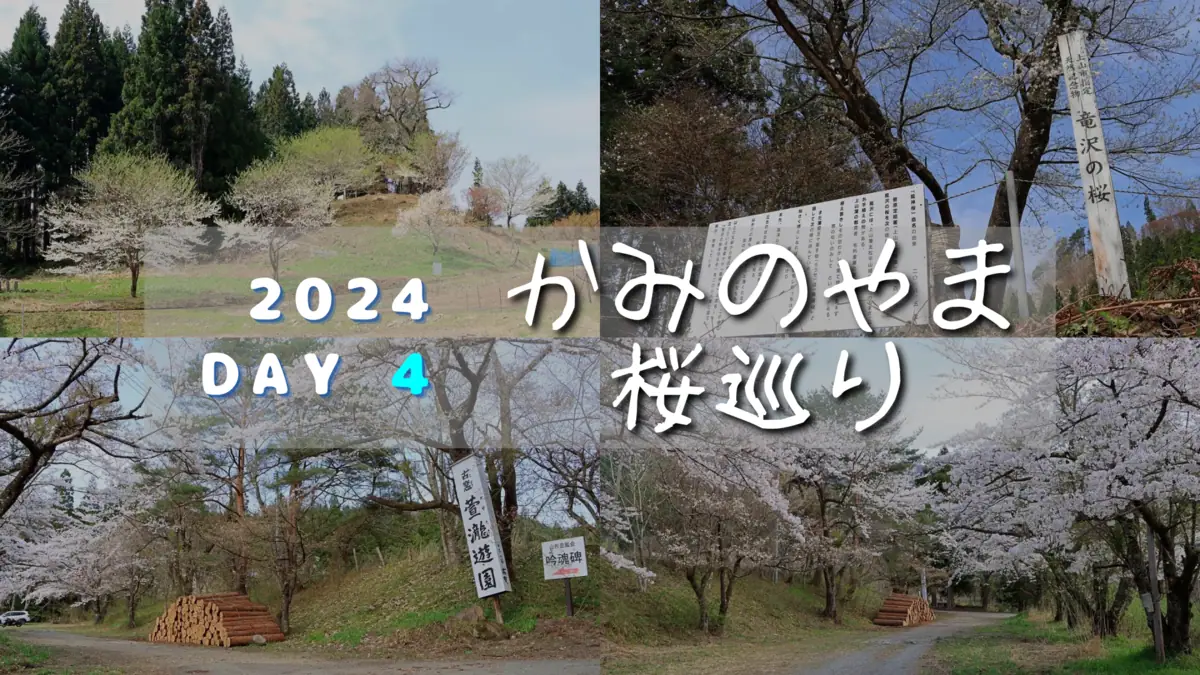 写真上は龍神桜、下は萱滝遊園