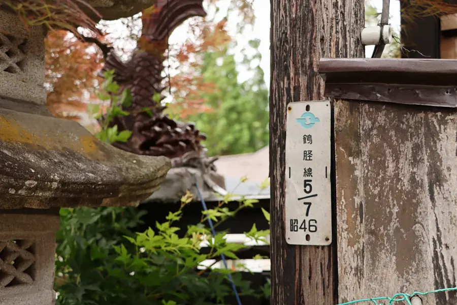 松山御殿にて(3) = 2025年5月31日 松山