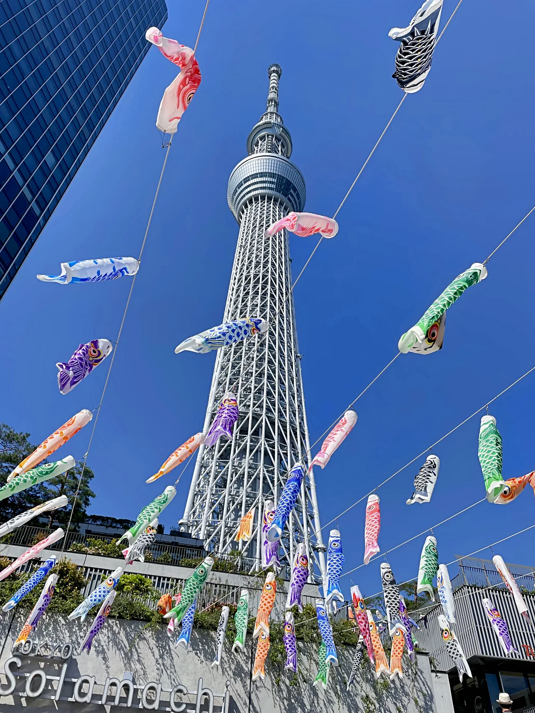 こいのぼりフェスティバルが開催されていました = 2025年5月3日 東京スカイツリー前