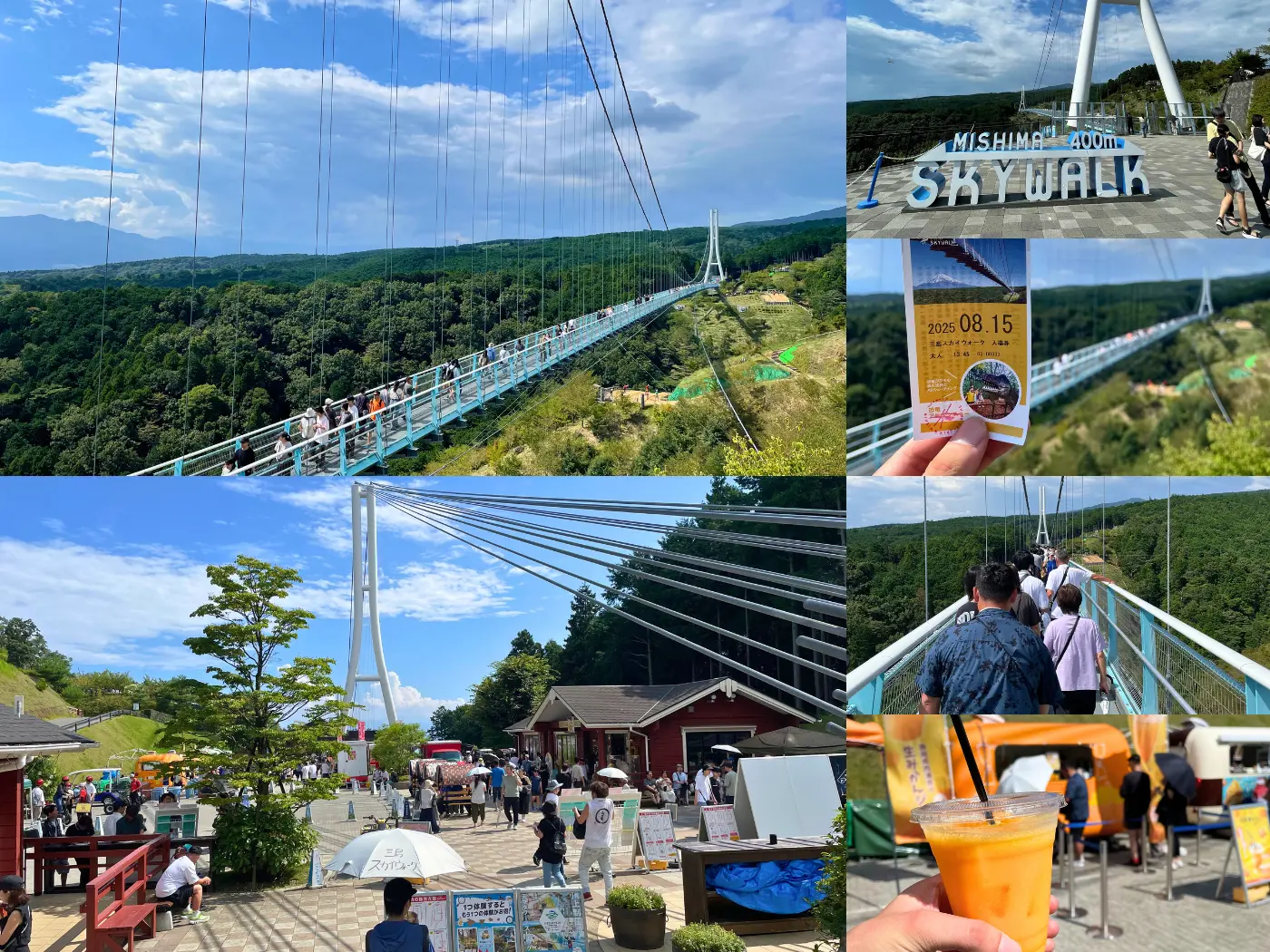 400mの吊り橋！めちゃ揺れる = 2025年8月15日 三島スカイウォーク