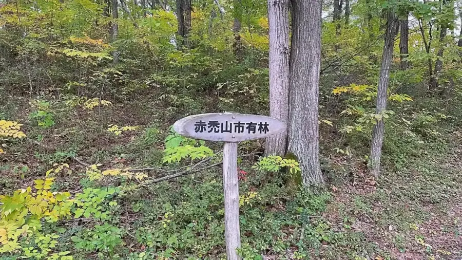 2021年10月25日 赤禿山公園