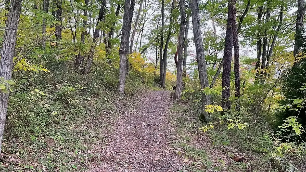 赤禿山公園