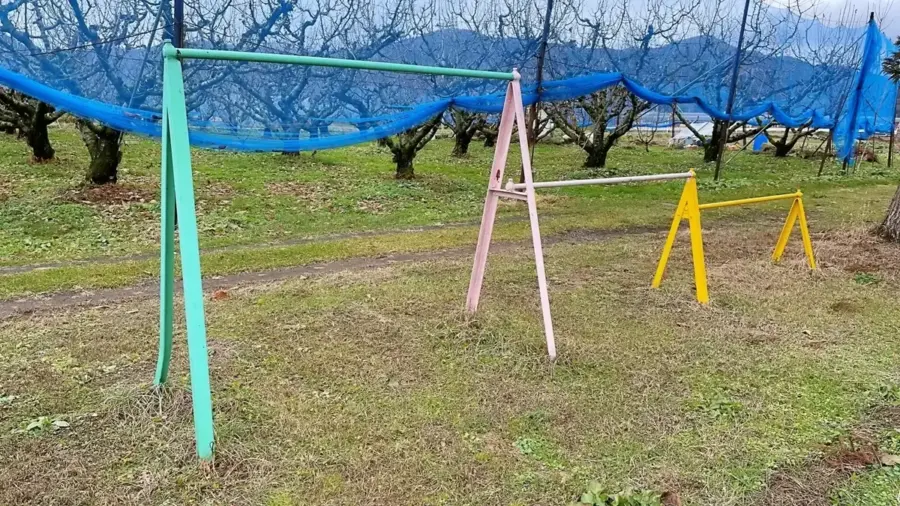 2022年12月9日 阿弥陀堂