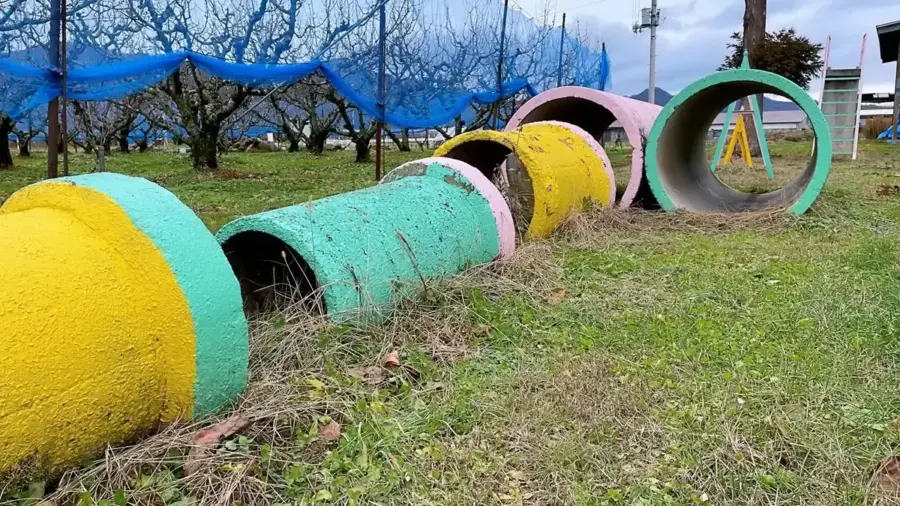 2022年12月9日 阿弥陀堂