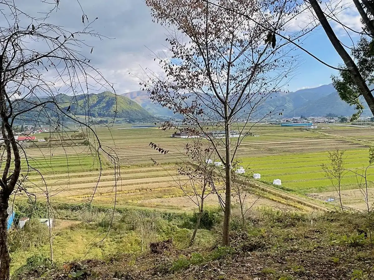 頂上付近から見える景色 = 2021年10月24日 鎮守の森