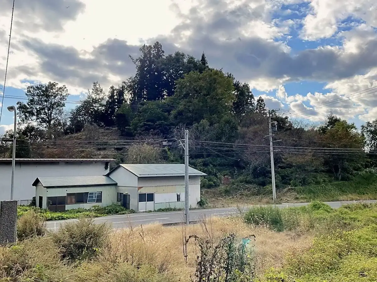 宮生小学校側から見る鎮守の森 = 2021年10月24日 下生居森