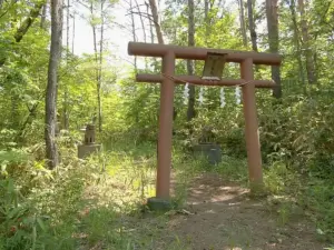 緑に囲まれた神社 = 2020年4月25日 川口