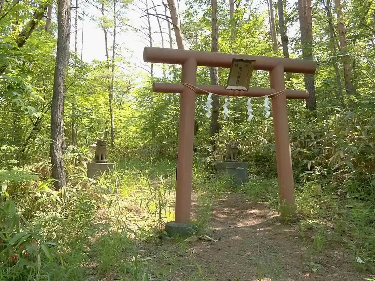 緑に囲まれた神社 = 2020年4月25日 川口