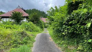 上山市の知られざる廃村「泥部」に足を踏み入れる