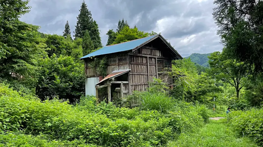 物置小屋 = 2022年7月6日 泥部