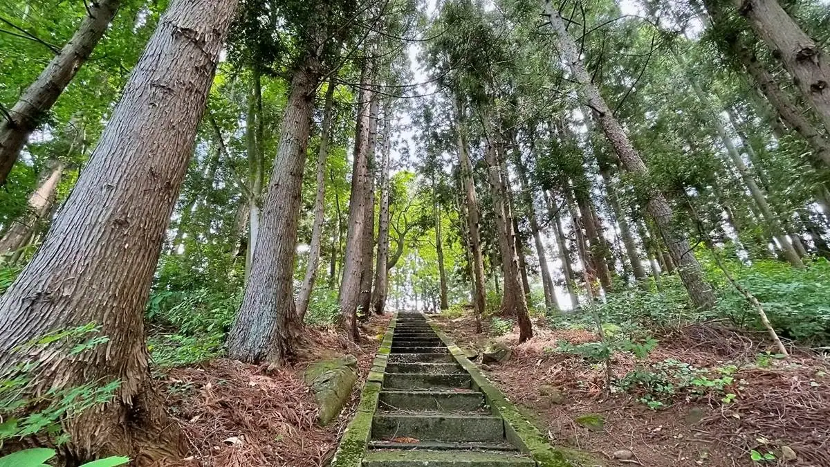 2022年6月17日 権現堂児童遊園地