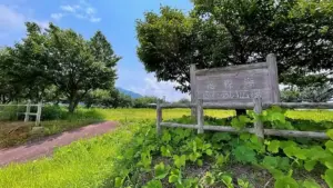 生居川ダムに併設の広い公園「花森湖ふれあい広場」キャンプにも
