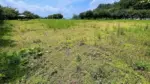 花森湖ふれあい広場