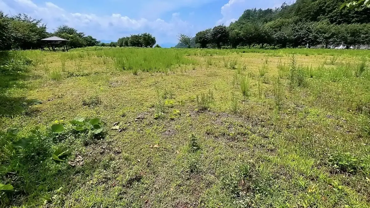 2022年7月27日 花森湖ふれあい広場