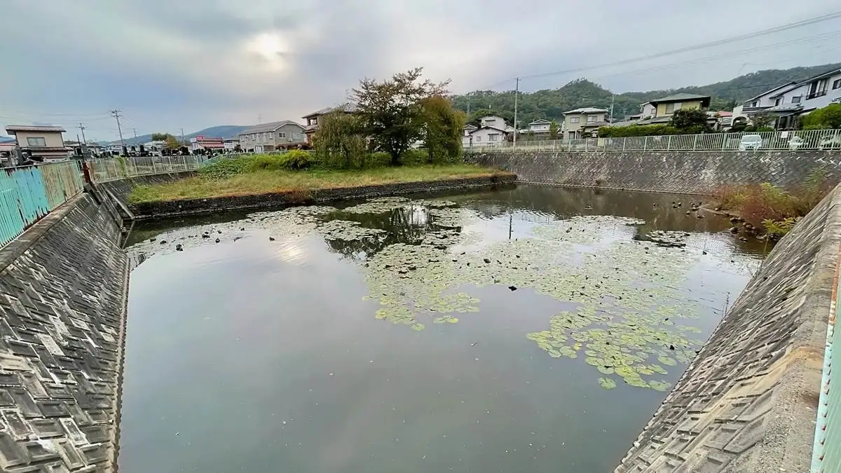 2021年10月25日 法円堤緑地