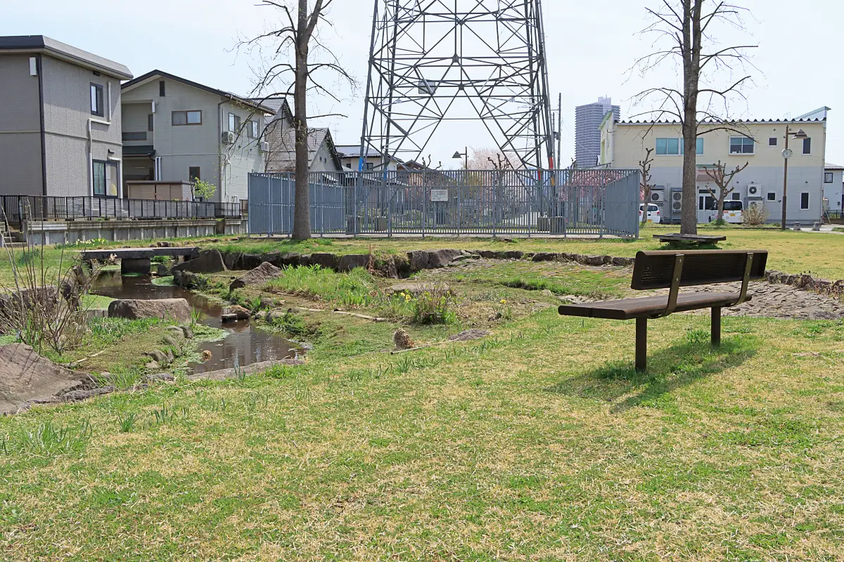 2021年7月27日 かえで公園