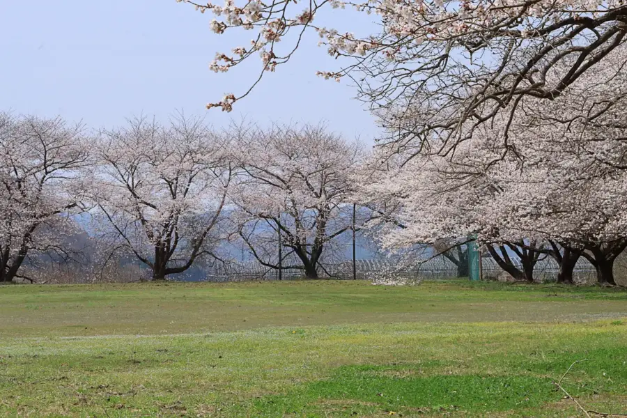 2022年5月1日 久保川運動広場