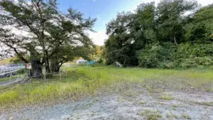 知ってる？裏通りの隠れ桜スポット「久保手桜公園」