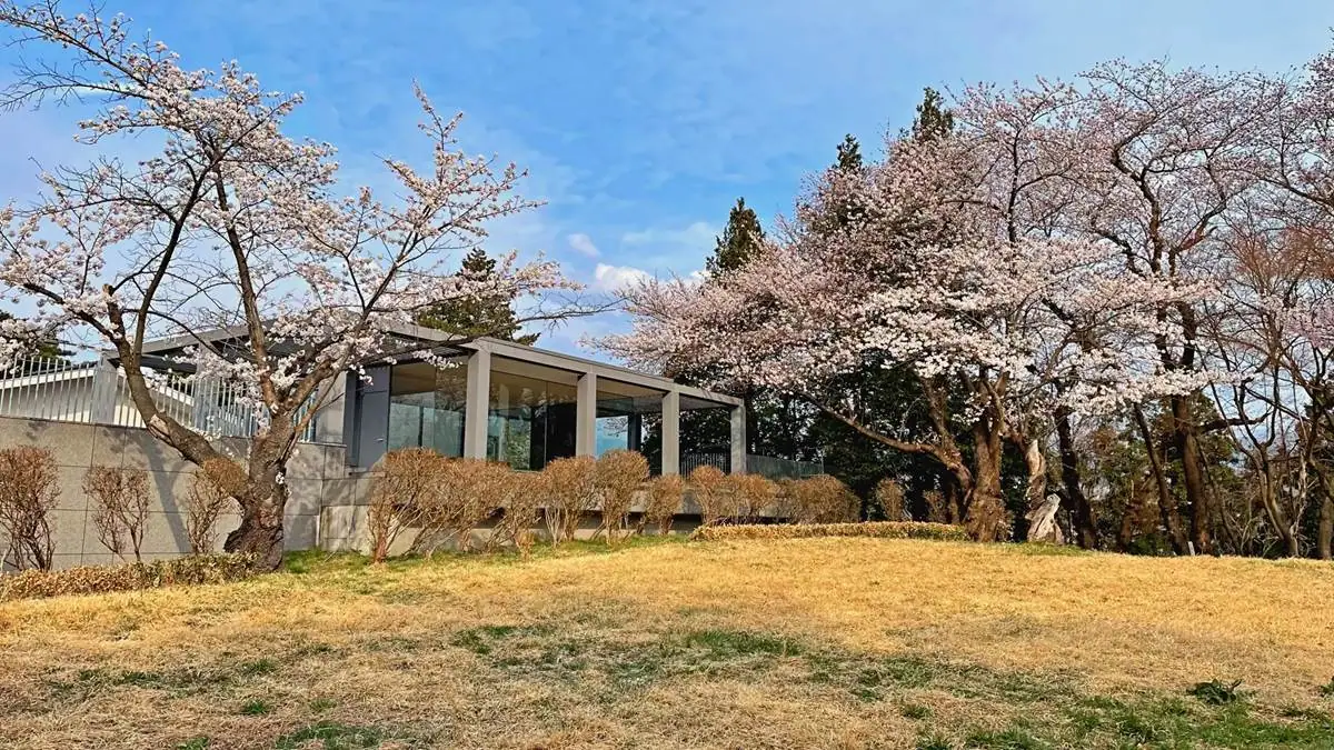 2023年4月5日 みゆき公園