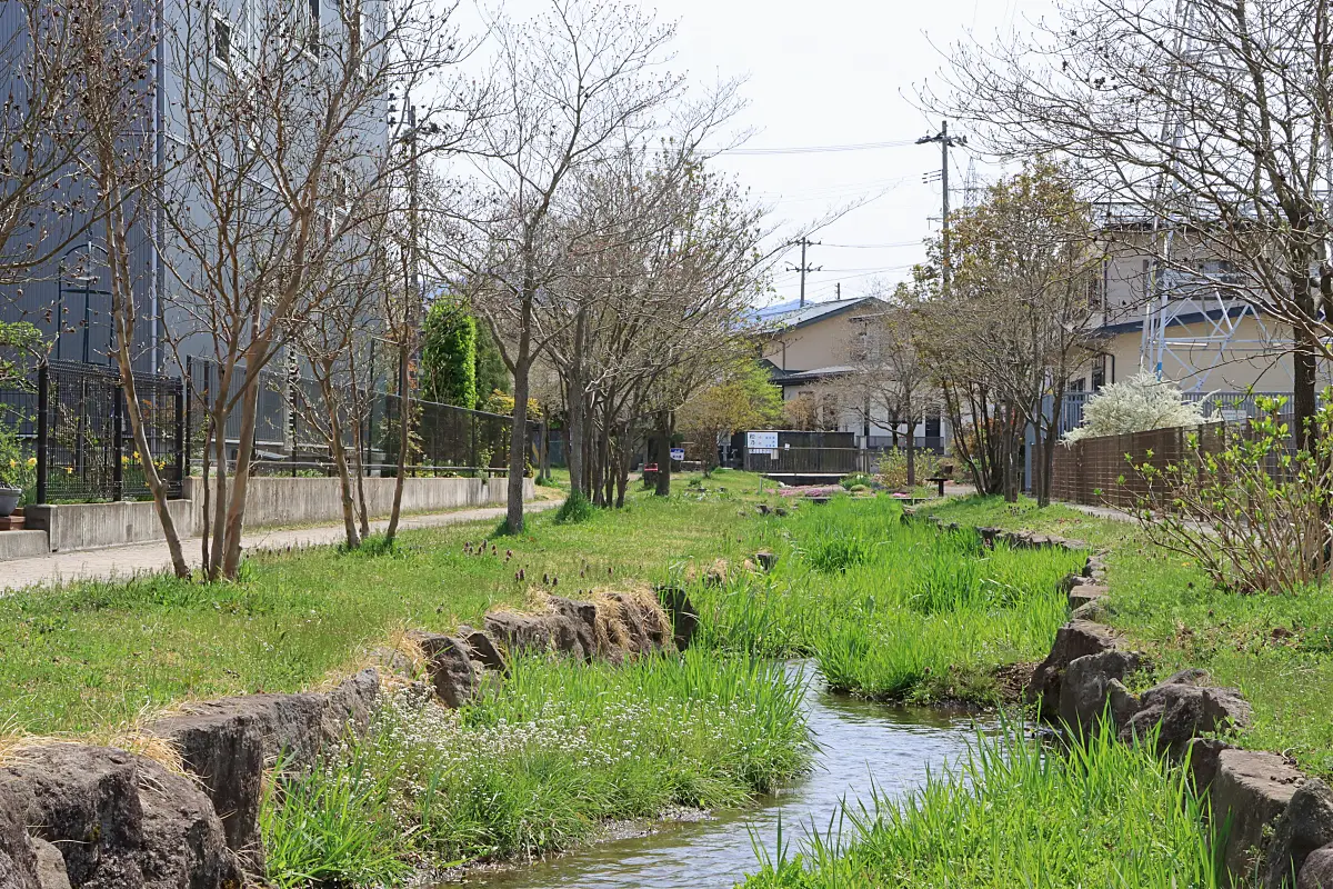 2021年7月28日 みずき公園