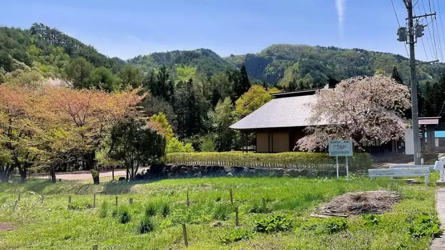 2022年4月28日 楢下農村公園
