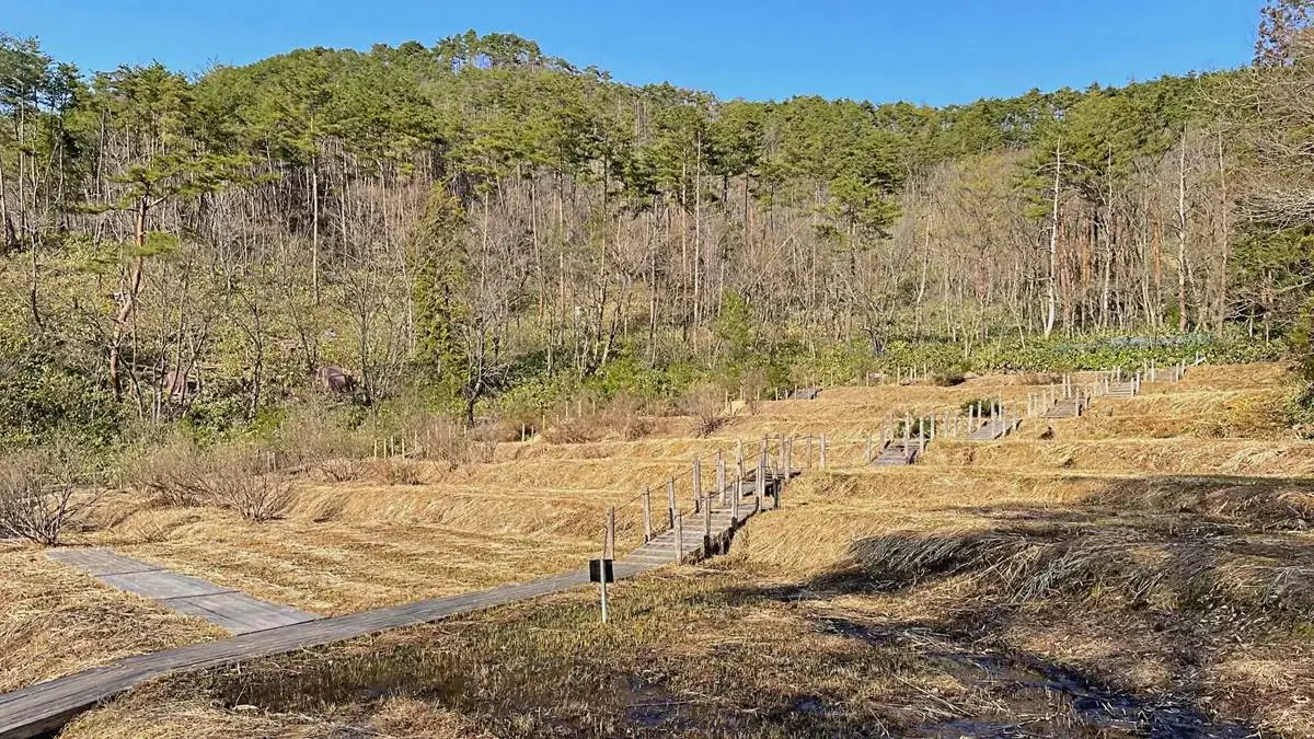 2023年3月22日 西山ふるさと公園