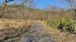西山ふるさと公園