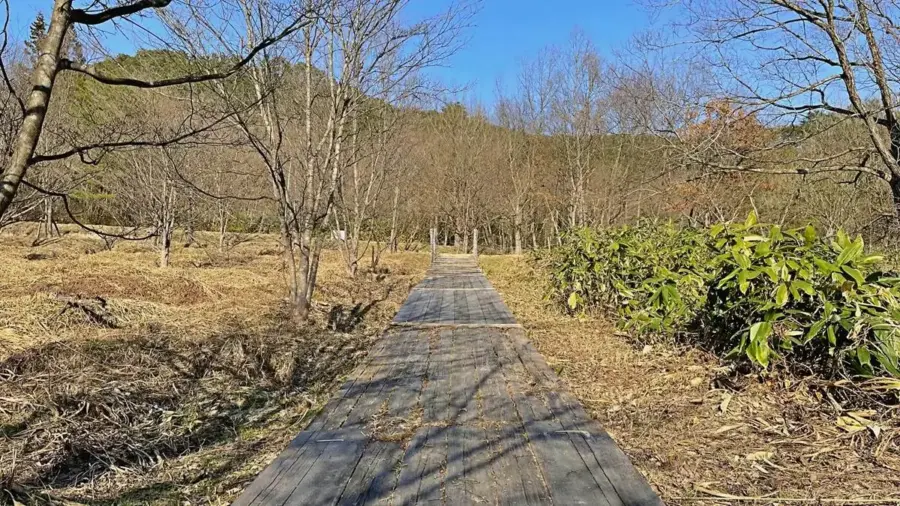 2023年3月22日 西山ふるさと公園
