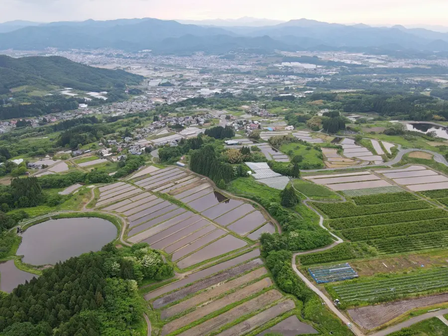 空から見る棚田と市街地 = 2025年5月29日 権現堂上空