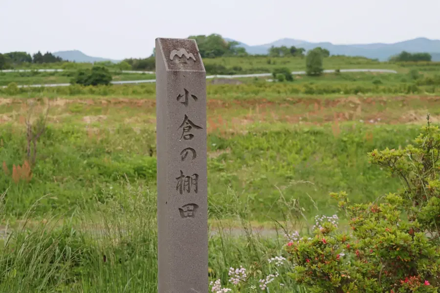 やまがたの棚田20選であることを示す石標 = 2025年5月29日 権現堂