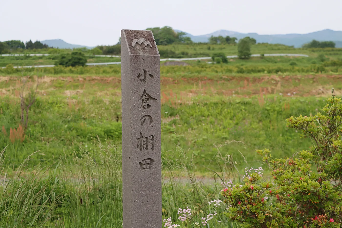 やまがたの棚田20選であることを示す石標 = 2025年5月29日 権現堂