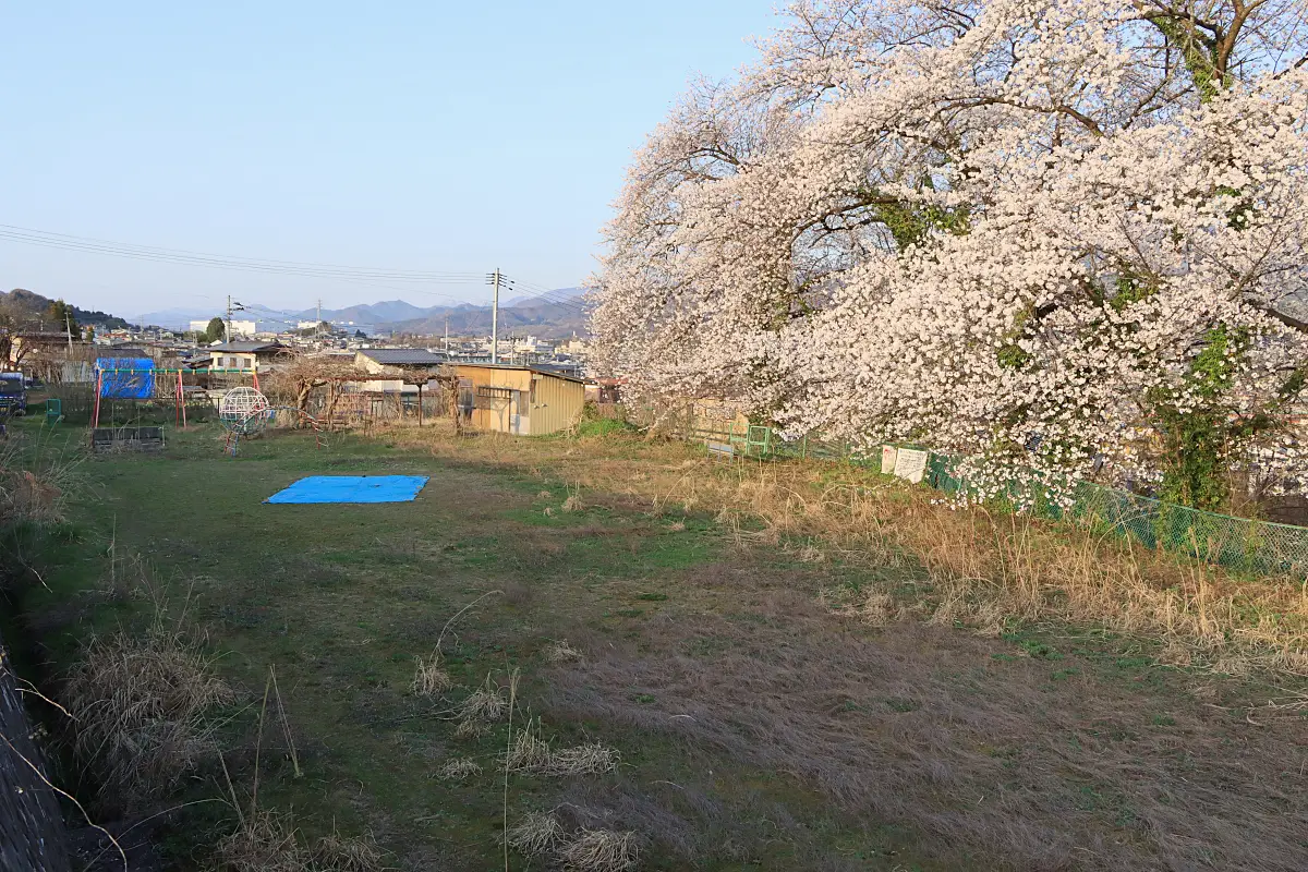 2021年6月18日 御井戸丁ふれあい公園