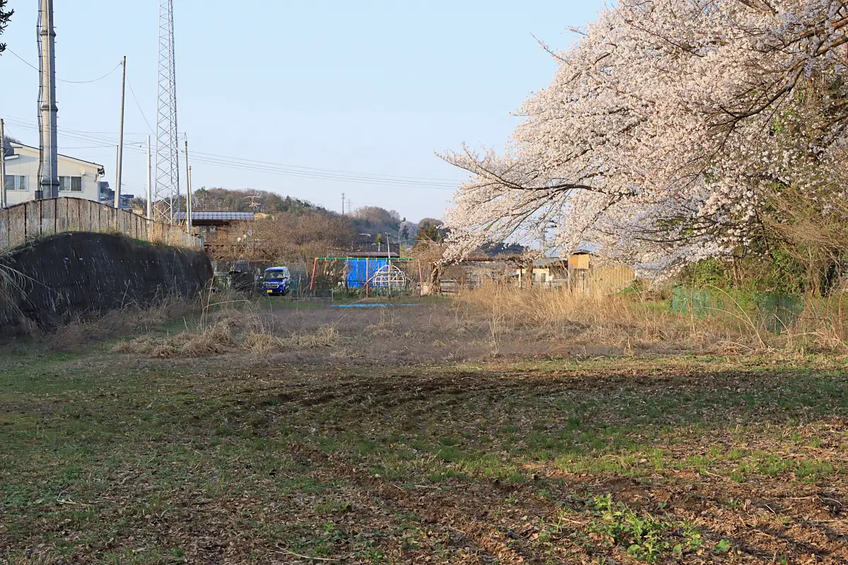 2021年6月18日 御井戸丁ふれあい公園