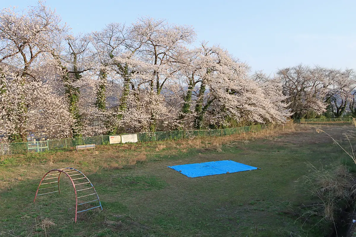 2021年6月18日 御井戸丁ふれあい公園