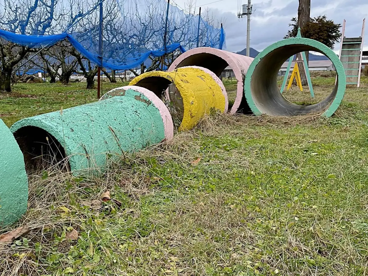 土管 = 阿弥陀堂